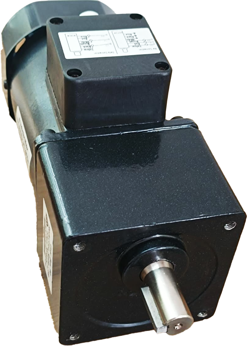 60 Watt Induction Motor